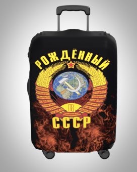 чемодан А 011 лицо