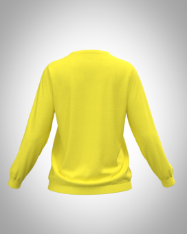 свитшот А 002 спина