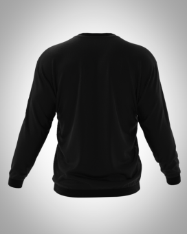 свитшот А 006 спина